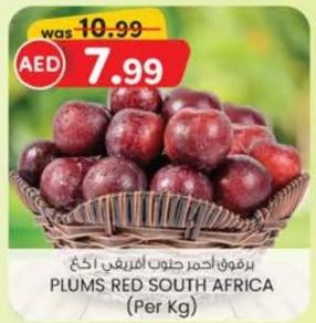 برقوق أحمر جنوب أفريقيا (كلغ)