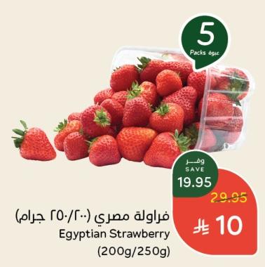 فراولة مصري