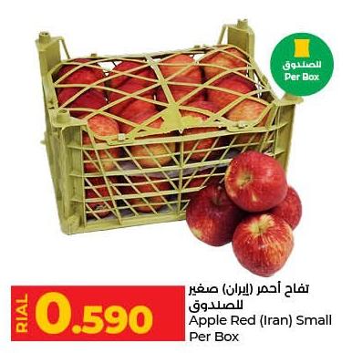 Apple Red (Iran) Small Per Box