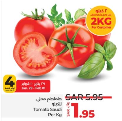 Tomato Saudi Per Kg