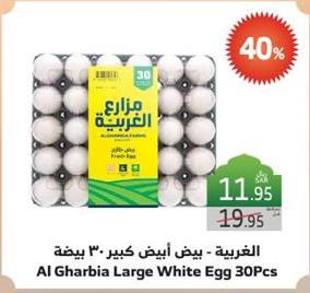 Al Gharbia Large White Egg 30 pcs