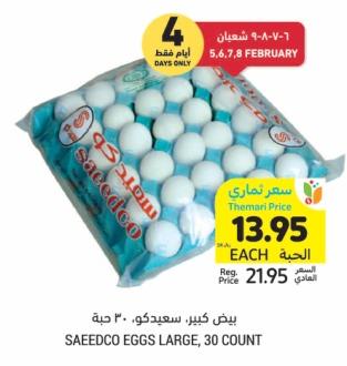 Saeedco EGGS LARGE, 30 COUNT