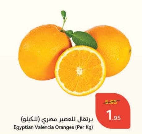 Egyptian Valencia Oranges (Per Kg)