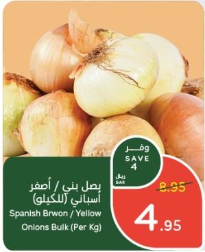 Spanish Brown / Yellow Onions Bulk (Per Kg)