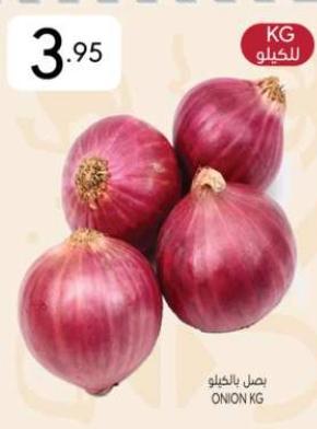 ONION KG 1 kg