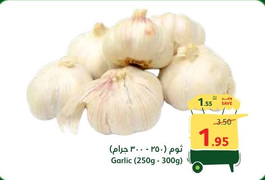 Garlic (250 gm - 300 gm)