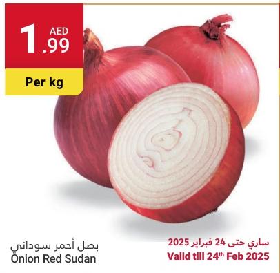 Onion Red Sudan