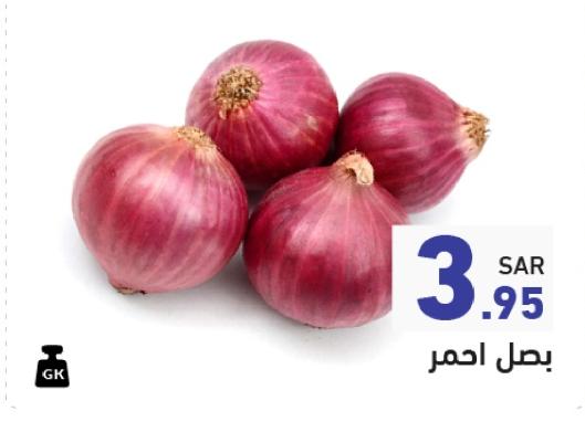 Red Onion KG