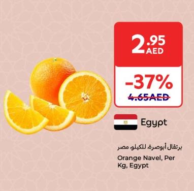 Orange Navel, Per Kg, Egypt