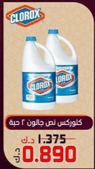 Clorox Half Gallon 2 pcs