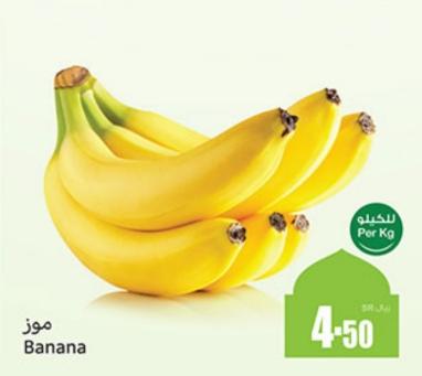 Banana Per Kg