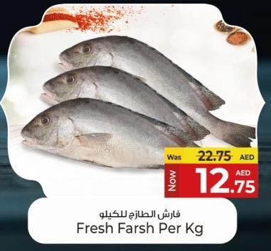 Fresh Farsh Per Kg