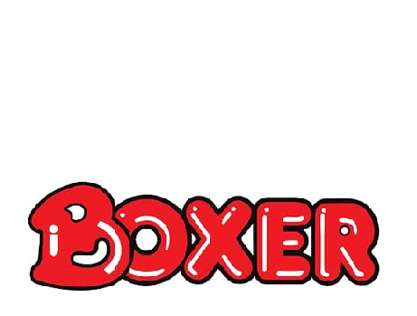 Boxer Superstores