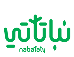 Nabataty